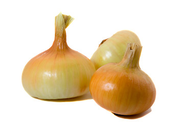 Image showing Onions