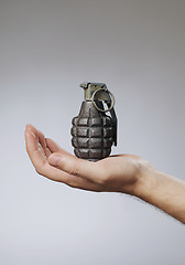 Image showing Hand grenade