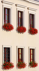 Image showing Six flowery windows