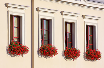 Image showing Four flowery windows in a row