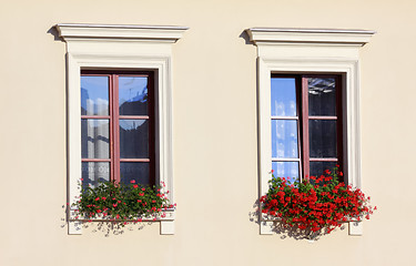 Image showing Two flowery windows