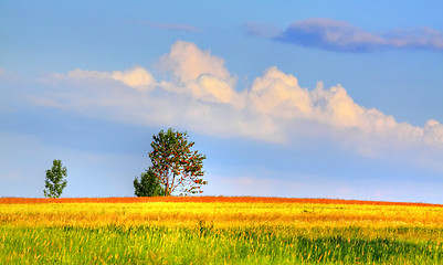 Image showing Landscape with coloured meadows and clouds