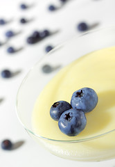 Image showing Pudding in glass with blueberry