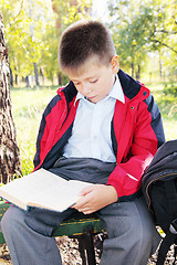 Image showing Kid reading book in park