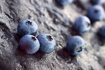 Image showing Blueberry (Northern Highbush Blueberry) fruits