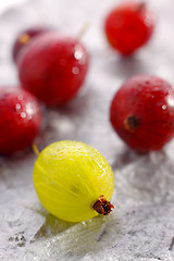 Image showing Yellow and red gooseberries