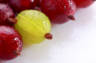 Image showing Yellow gooseberry among red gooseberries