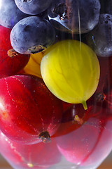 Image showing Berries in water