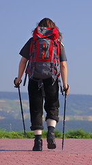 Image showing Walking hiker