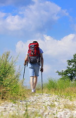 Image showing Walking hiker on stony path