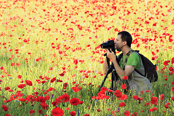 Image showing Photographer in poppy field
