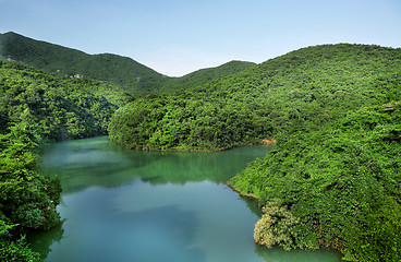 Image showing lake in forest