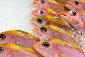 Image showing fish for sale in market