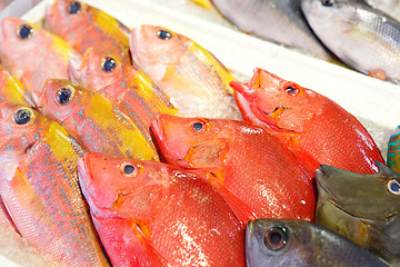 Image showing fish for sale