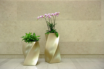 Image showing beautiful orchid in lobby