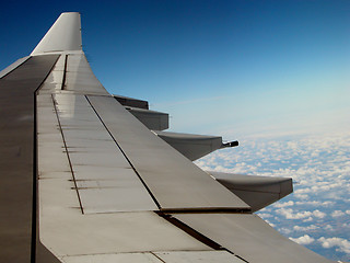Image showing Wing