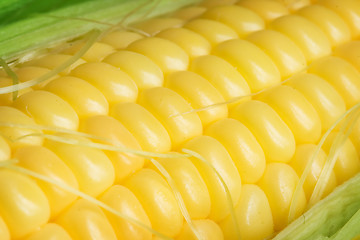 Image showing Corn cob