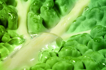 Image showing Green cabbage