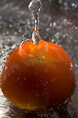 Image showing Tomato