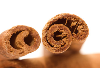 Image showing Cinnamon sticks