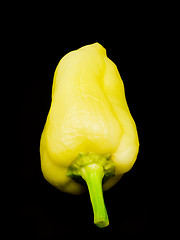 Image showing Yellow sweet pepper