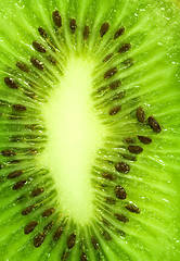 Image showing Kiwi