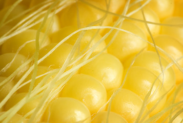 Image showing Corn cob
