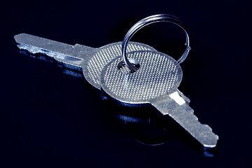 Image showing Metal keys