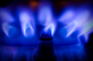 Image showing Blue gas flame