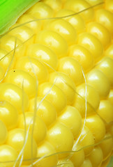 Image showing Corn cob