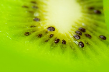 Image showing Kiwi