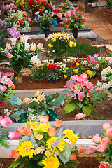 Image showing Graveyard