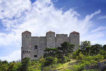 Image showing Castle