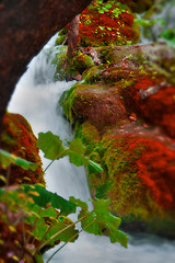 Image showing Waterfall