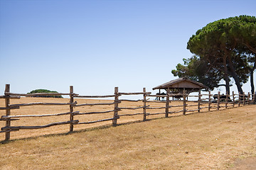 Image showing Farm