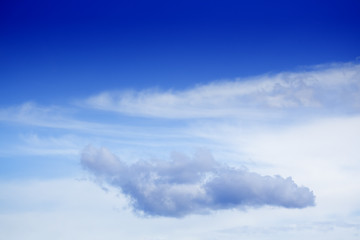 Image showing Cloud