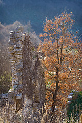 Image showing Ruins