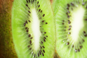 Image showing Kiwi