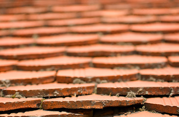 Image showing Roof