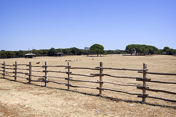 Image showing Farm