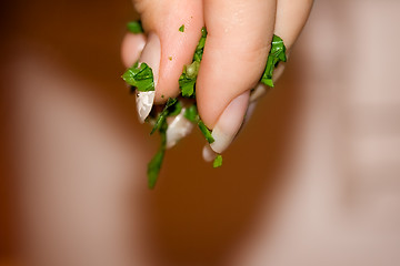 Image showing Spices