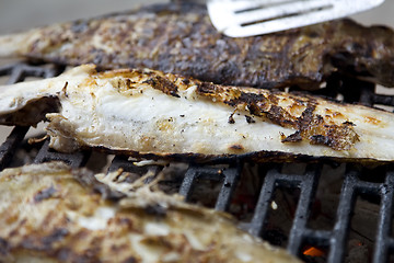 Image showing Fishes on grill
