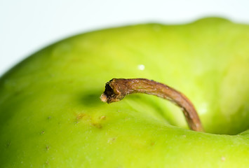 Image showing Green apple