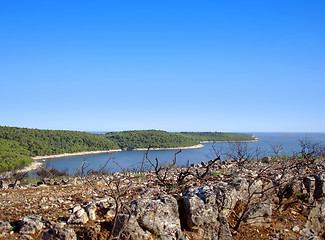 Image showing Mediterranean coast