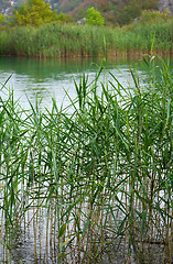 Image showing Lake