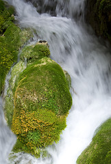 Image showing Waterfall