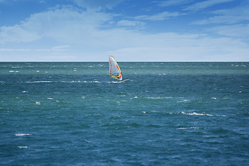 Image showing Windsurfer