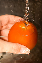 Image showing Washing tomatoes