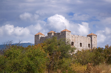 Image showing Castle