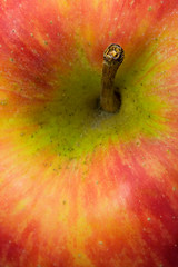 Image showing Red Apple